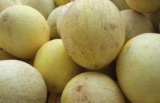 孕妇吃白兰瓜,白兰瓜助力母婴健康