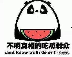 吃瓜不易,吃瓜不易，真相难寻