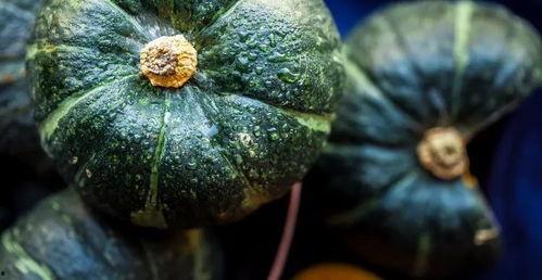 南瓜吃瓜,一场味蕾的盛宴