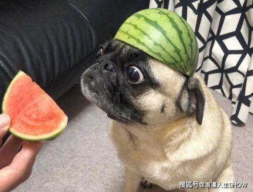 吃瓜小号,吃瓜小号带你领略幕后风云