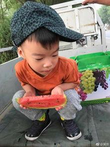 吃瓜吴,揭秘娱乐圈背后的那些事儿