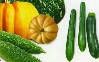 夏夏吃瓜,揭秘娱乐圈的甜蜜与苦涩