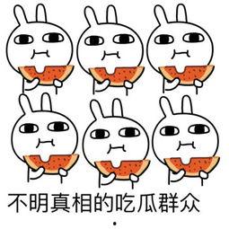 吃瓜群众表情包兔斯基,吃瓜群众的欢乐源泉